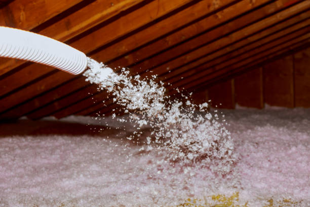 Best Insulation Installation Services in Nags Head, NC